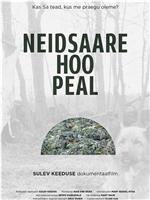 Neidsaare hoo peal