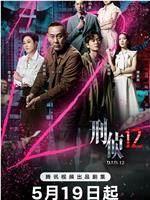 刑侦12观看