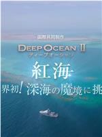 ディープオーシャンⅡ 紅海 ～世界初！深海の魔境に挑む～