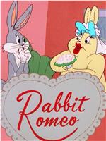 Rabbit Romeo